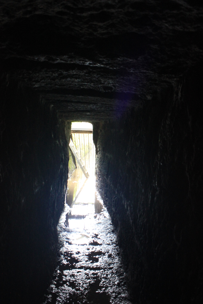 [almkanal3]
